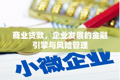 洛宁商业贷款，企业发展的金融引擎与风险管理
