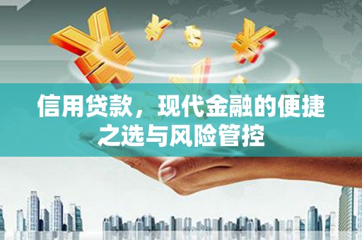 江海信用贷款，现代金融的便捷之选与风险管控