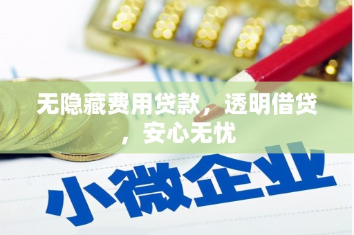 宝坻无隐藏费用贷款，透明借贷，安心无忧