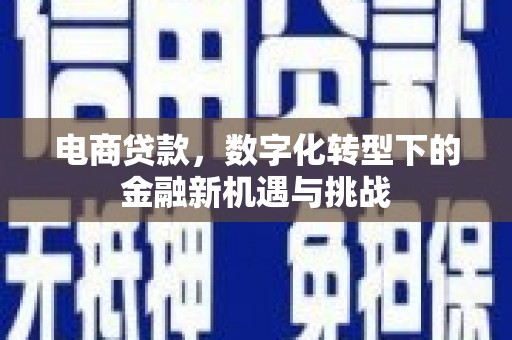 迪庆电商贷款，数字化转型下的金融新机遇与挑战