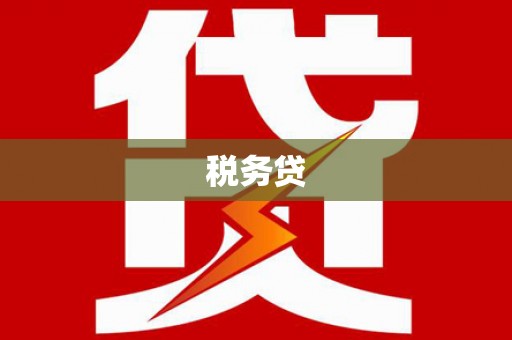 安定税务贷