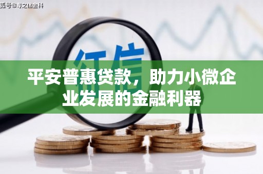 竹东平安普惠贷款，助力小微企业发展的金融利器