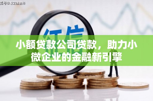 柳河小额贷款公司贷款，助力小微企业的金融新引擎