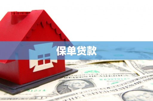 衡东保单贷款