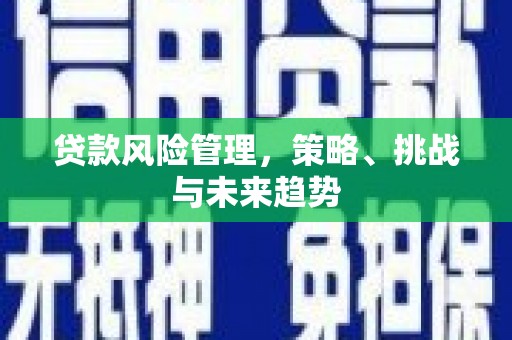 山上贷款风险管理，策略、挑战与未来趋势