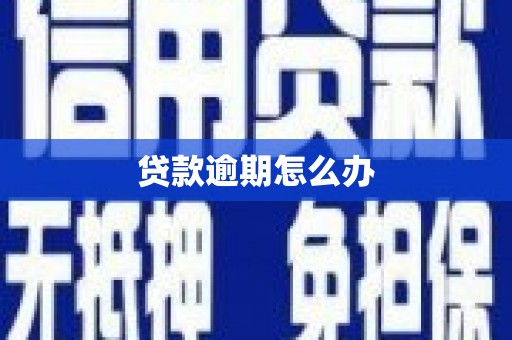 青秀贷款逾期怎么办
