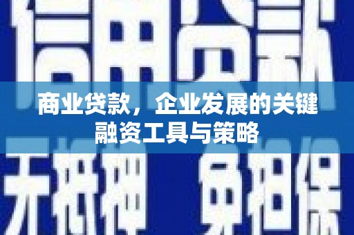 隆尧商业贷款，企业发展的关键融资工具与策略