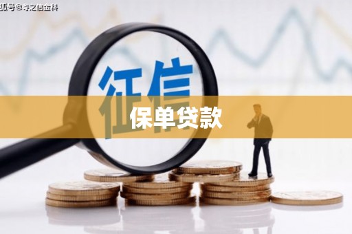 磐安保单贷款