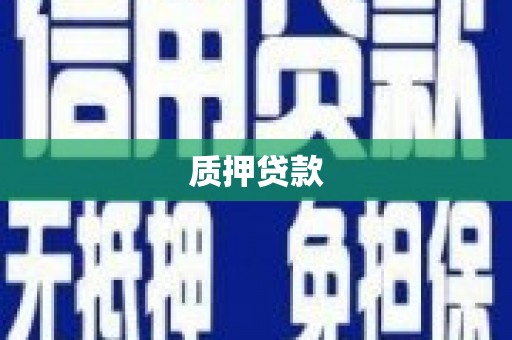 张店质押贷款