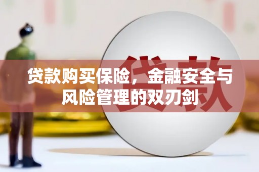 东明贷款购买保险，金融安全与风险管理的双刃剑