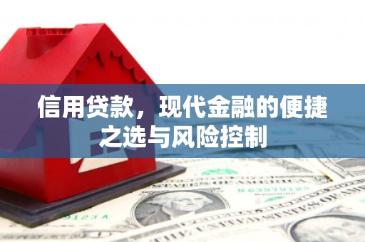 屏山信用贷款，现代金融的便捷之选与风险控制