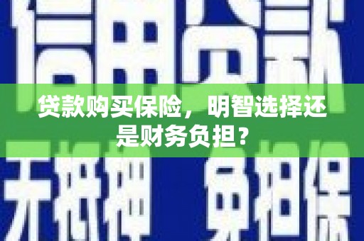 八宿贷款购买保险，明智选择还是财务负担？