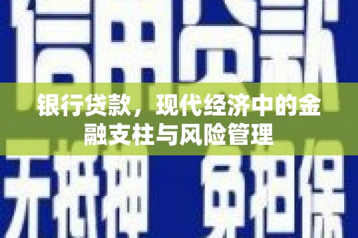 狮潭银行贷款，现代经济中的金融支柱与风险管理