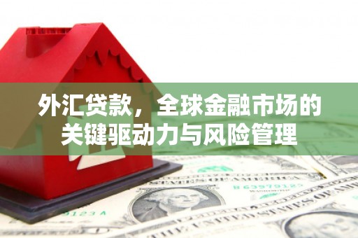 伊吾外汇贷款，全球金融市场的关键驱动力与风险管理