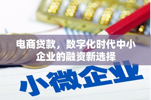 东丰电商贷款，数字化时代中小企业的融资新选择