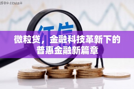 曾都微粒贷，金融科技革新下的普惠金融新篇章