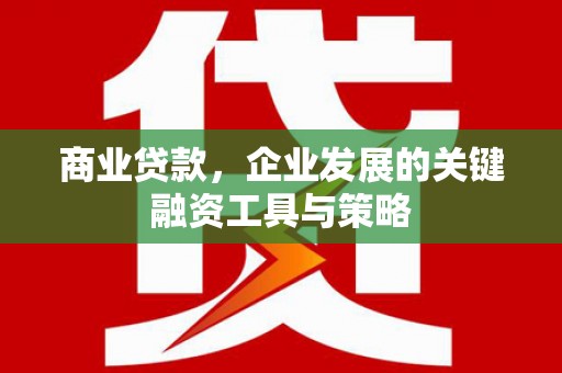 阳春商业贷款，企业发展的关键融资工具与策略