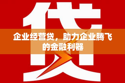 黔东南企业经营贷，助力企业腾飞的金融利器
