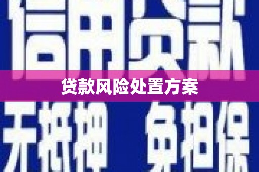 西和贷款风险处置方案