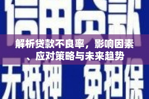乐亭解析贷款不良率，影响因素、应对策略与未来趋势