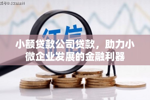 北区小额贷款公司贷款，助力小微企业发展的金融利器
