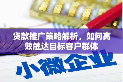 安定贷款推广策略解析，如何高效触达目标客户群体