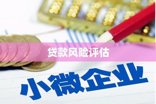 隆子贷款风险评估