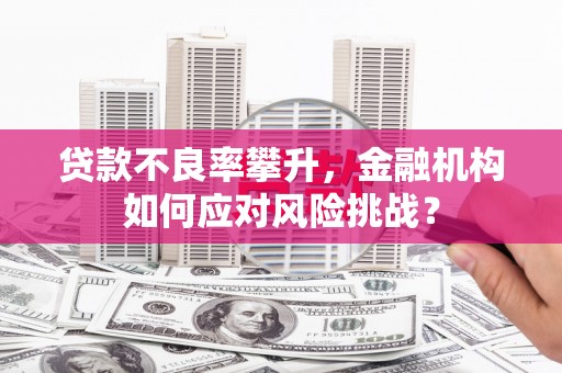 乐东贷款不良率攀升，金融机构如何应对风险挑战？