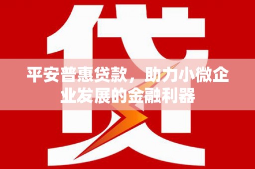 德钦平安普惠贷款，助力小微企业发展的金融利器