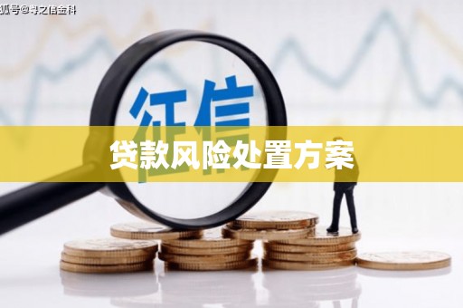 冬山贷款风险处置方案