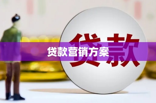 西海岸贷款营销方案