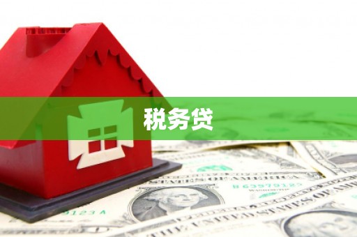 关岭税务贷