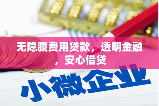 汝南无隐藏费用贷款，透明金融，安心借贷