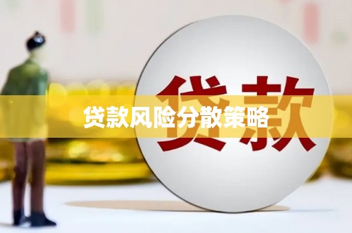 延平贷款风险分散策略