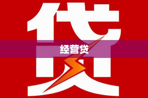 城西经营贷