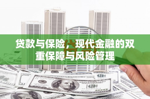 南丰贷款与保险，现代金融的双重保障与风险管理