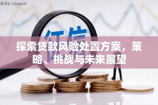 保德探索贷款风险处置方案，策略、挑战与未来展望