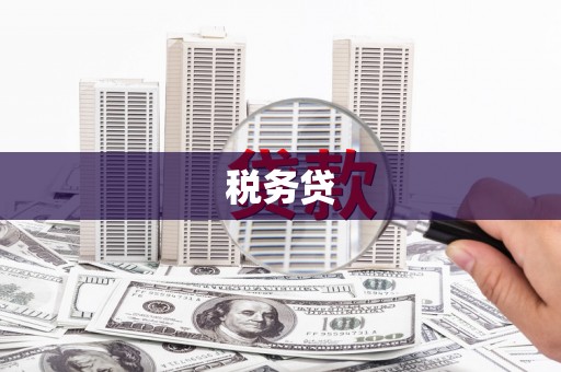 黔西税务贷