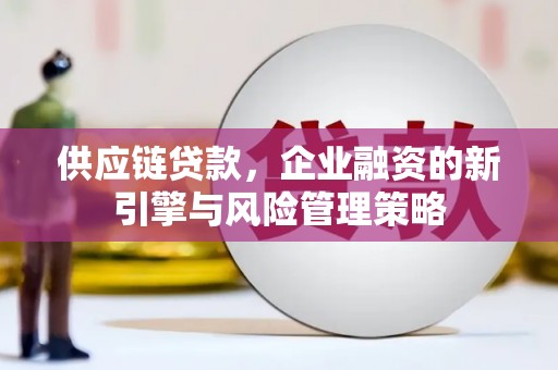 盖州供应链贷款，企业融资的新引擎与风险管理策略