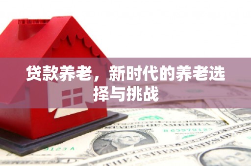 博湖贷款养老，新时代的养老选择与挑战
