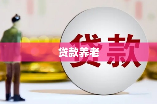 双柏贷款养老