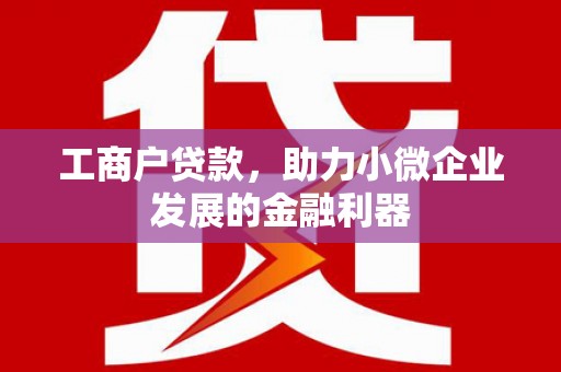 润州工商户贷款，助力小微企业发展的金融利器