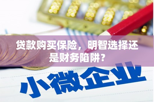 汉南贷款购买保险，明智选择还是财务陷阱？