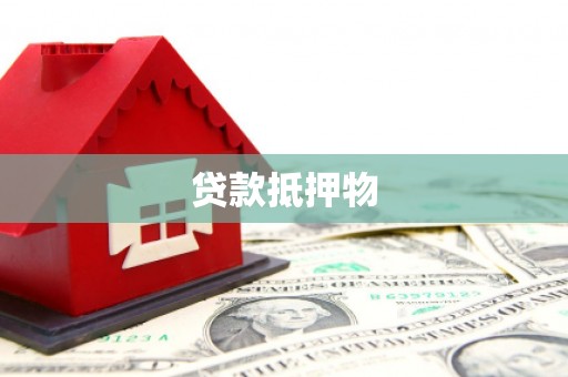 楠西贷款抵押物