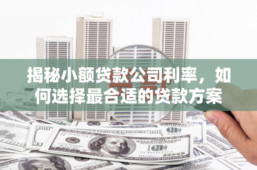 南康揭秘小额贷款公司利率，如何选择最合适的贷款方案