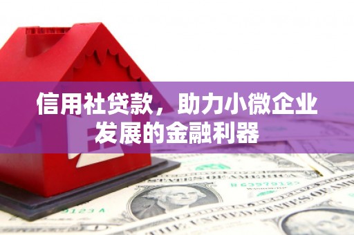 埔里信用社贷款，助力小微企业发展的金融利器