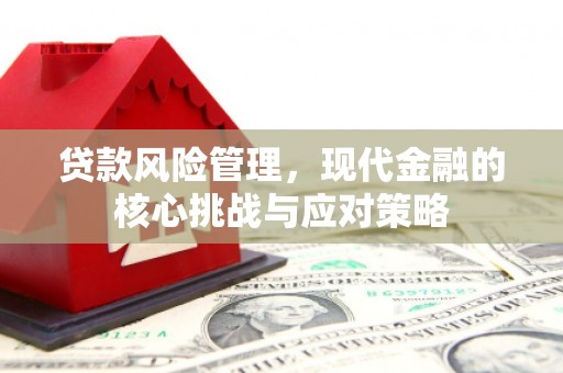 鹿草贷款风险管理，现代金融的核心挑战与应对策略