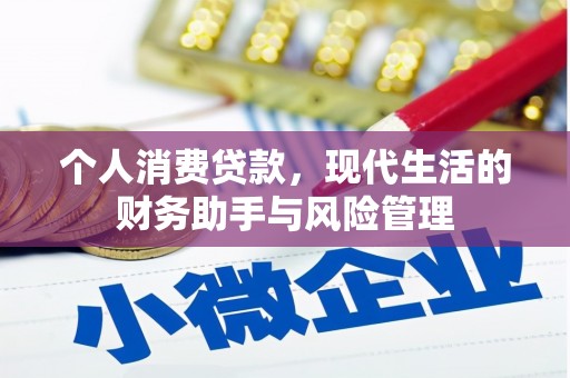 新华个人消费贷款，现代生活的财务助手与风险管理