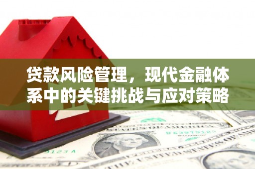 古塔贷款风险管理，现代金融体系中的关键挑战与应对策略