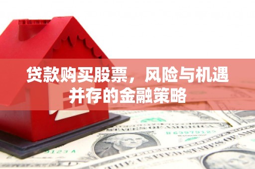 仁怀贷款购买股票，风险与机遇并存的金融策略